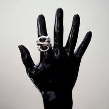 画像をギャラリービューアに読み込む, V8 Ring